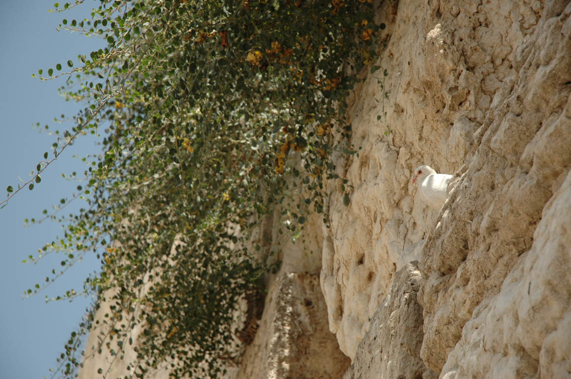 2005 Europe & Israel 2420