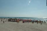 2005 Europe & Israel 1217