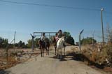 2005 Europe & Israel 2215