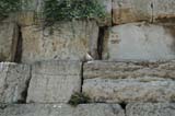 2005 Europe & Israel 2388