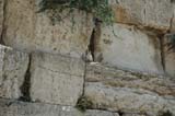2005 Europe & Israel 2397