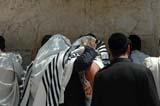 2005 Europe & Israel 2398