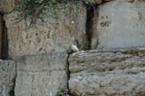 2005 Europe & Israel 2410