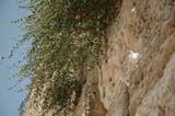 2005 Europe & Israel 2420