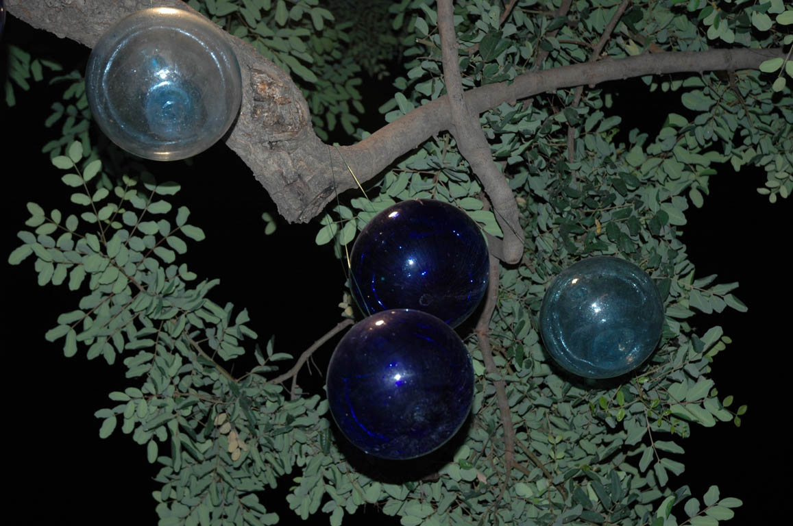 2005 Europe & Israel 2115