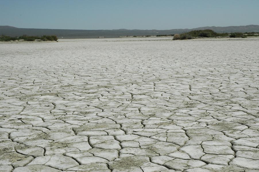 2005 Lake Mirage 012