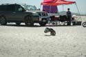 2005 Lake Mirage 204