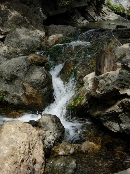 2005 Temescal Hiking 023