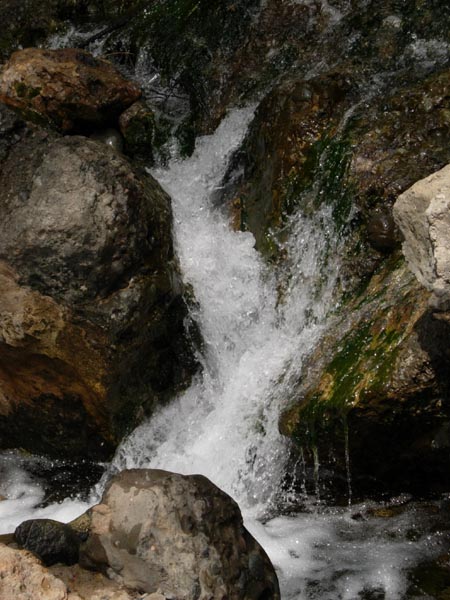 2005 Temescal Hiking 026