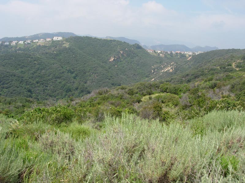 2005 Temescal Hiking 035
