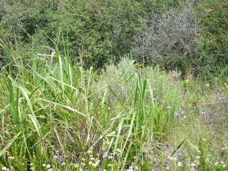 2005 Temescal Hiking 038