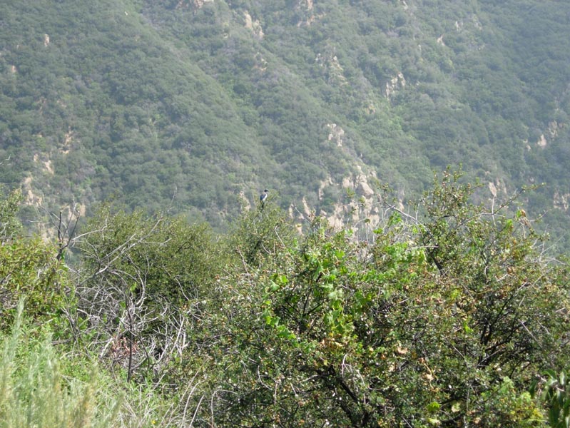 2005 Temescal Hiking 045