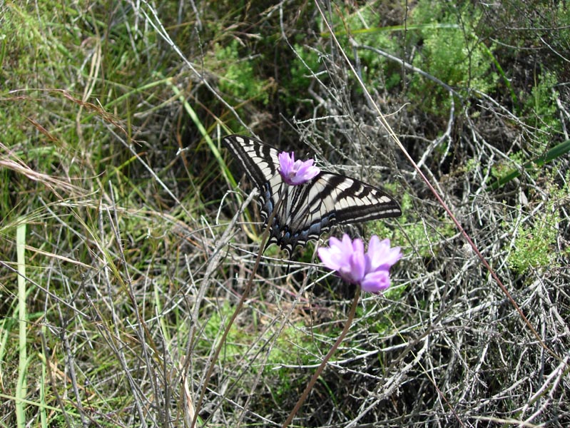 2005 Temescal Hiking 049