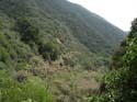2005 Temescal Hiking 032