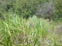 2005 Temescal Hiking 038