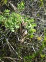2005 Temescal Hiking 040