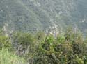 2005 Temescal Hiking 045