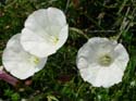 2005 Temescal Hiking 046