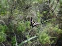 2005 Temescal Hiking 051