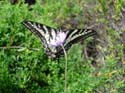 2005 Temescal Hiking 056
