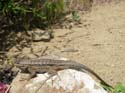 2005 Temescal Hiking 060