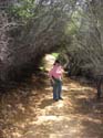 2005 Temescal Hiking 062