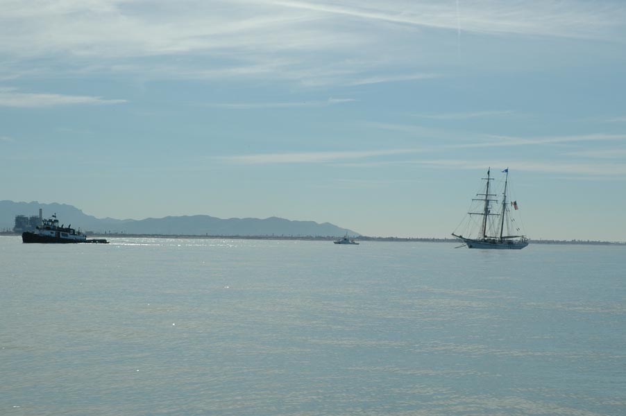 2005 Whale Watching 031