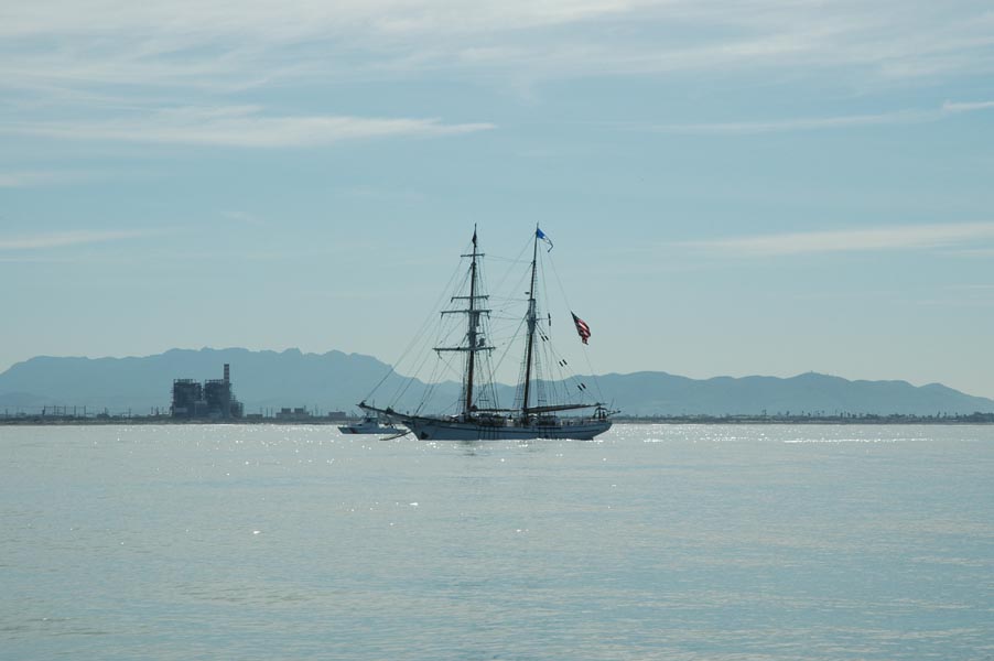 2005 Whale Watching 033