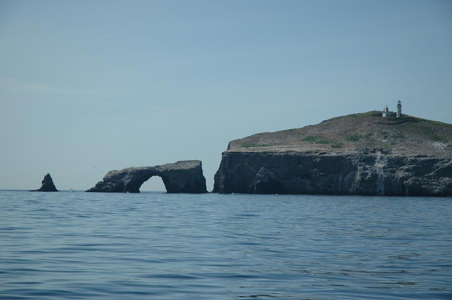 2005 Whale Watching 114