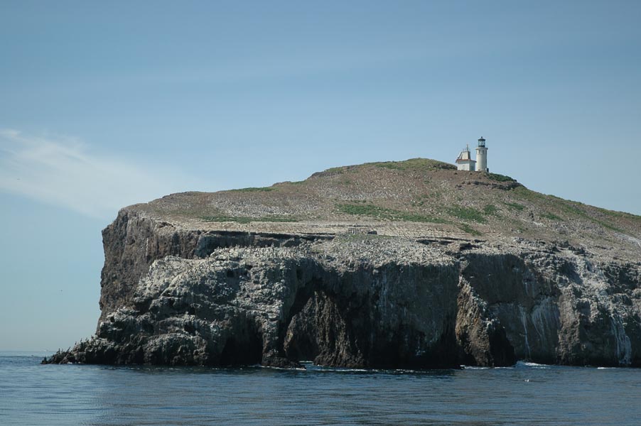 2005 Whale Watching 118