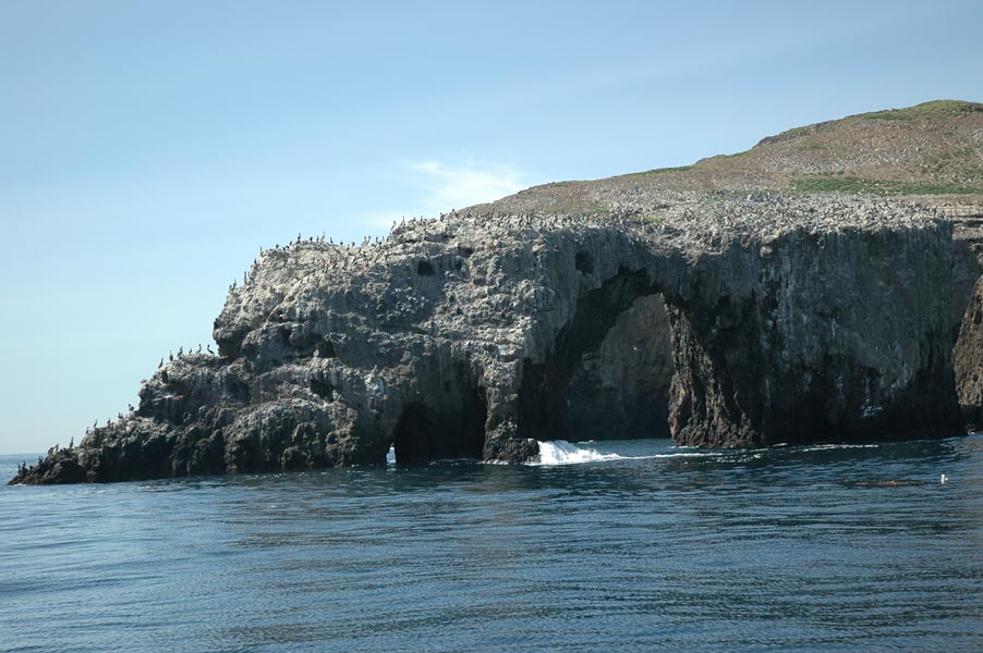 2005 Whale Watching 122