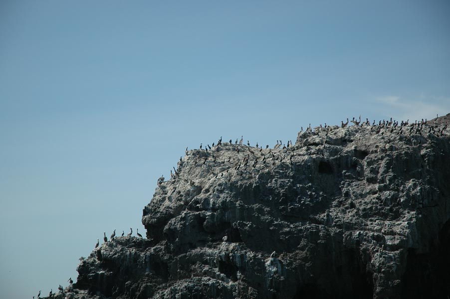 2005 Whale Watching 123