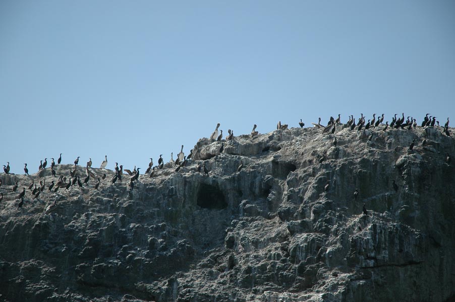 2005 Whale Watching 127