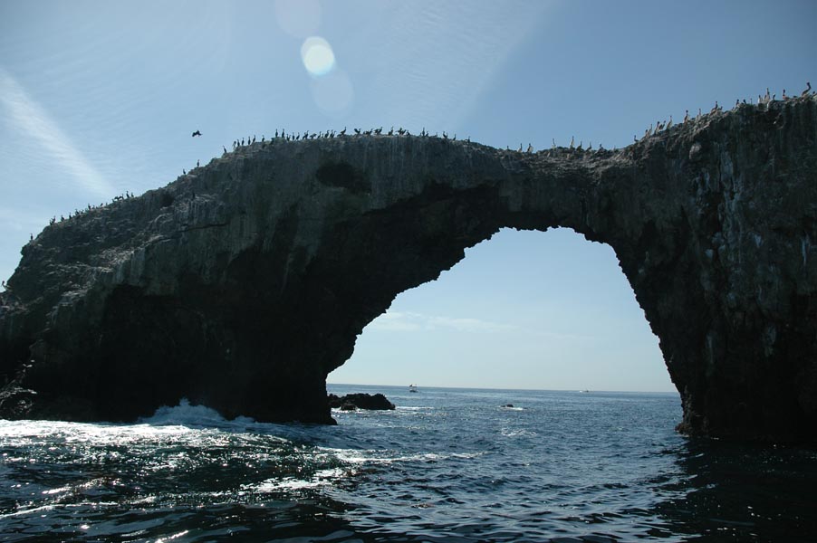 2005 Whale Watching 134