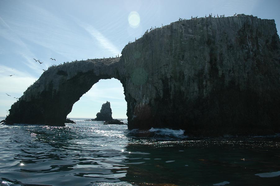 2005 Whale Watching 139