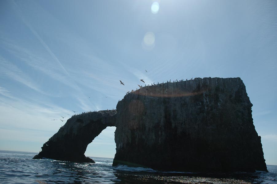 2005 Whale Watching 142