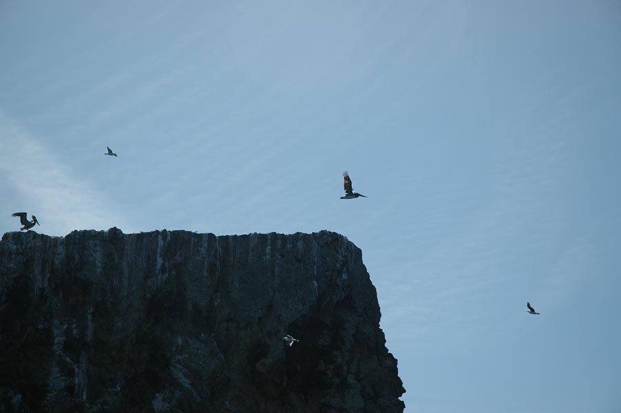 2005 Whale Watching 144