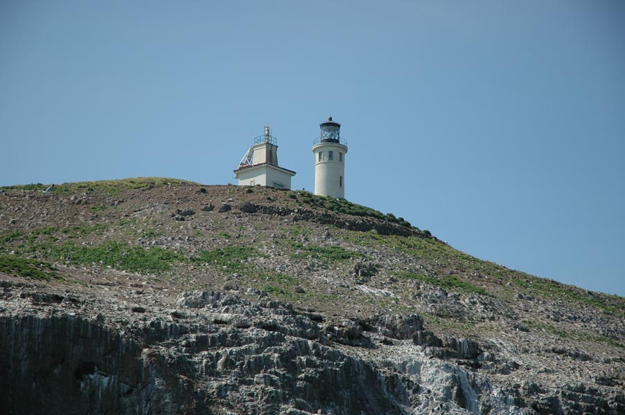 2005 Whale Watching 145