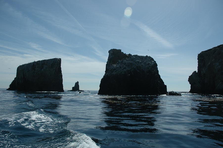 2005 Whale Watching 146