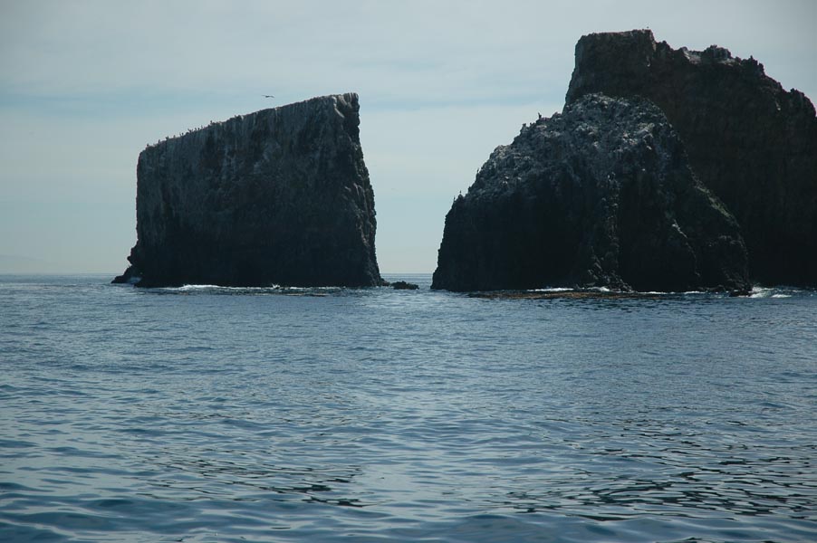 2005 Whale Watching 171