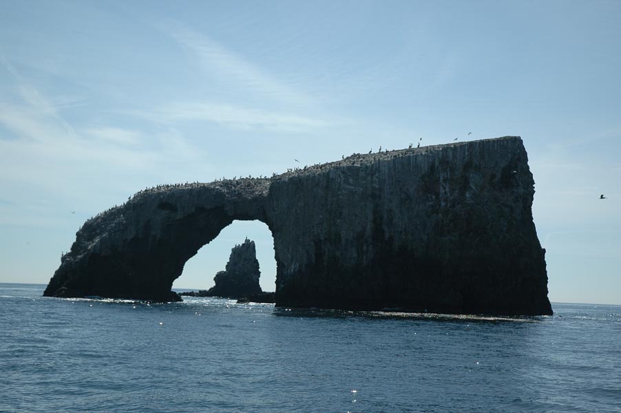 2005 Whale Watching 176