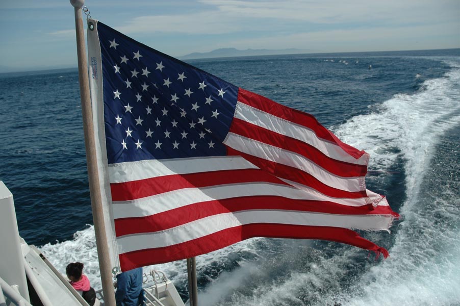 2005 Whale Watching 312