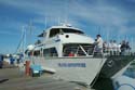 2005 Whale Watching 010