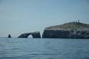 2005 Whale Watching 114