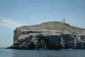 2005 Whale Watching 118
