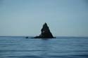 2005 Whale Watching 119