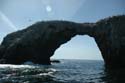 2005 Whale Watching 134