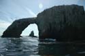 2005 Whale Watching 139