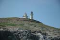 2005 Whale Watching 145