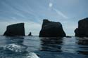 2005 Whale Watching 146